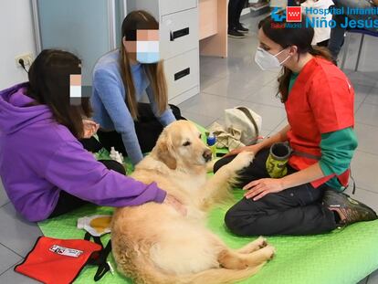 Dos jóvenes en una sesión de terapia con perros en el Hospital Niños Jesús de Madrid.