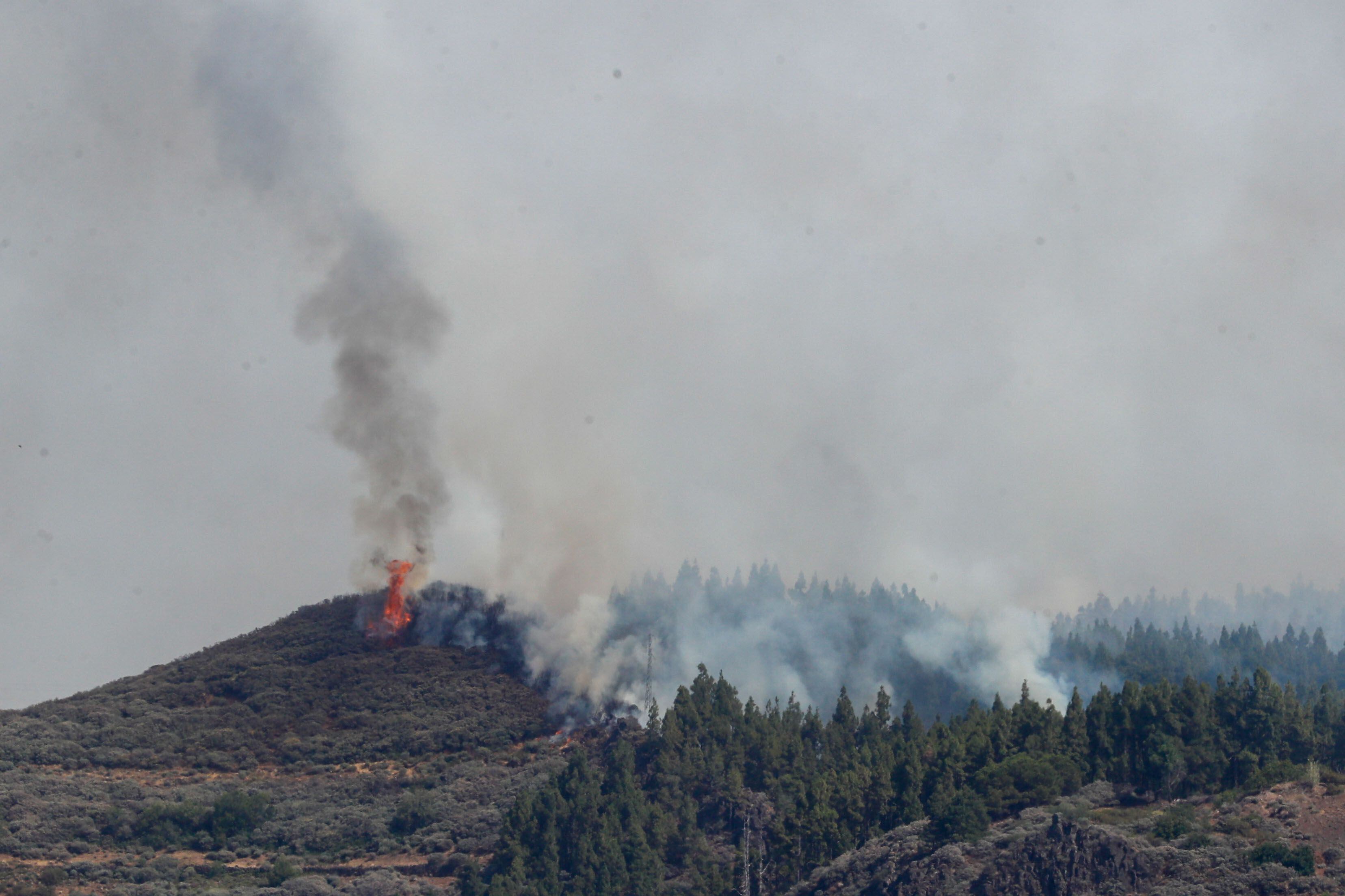 Incendio en Los Llanos de la Pez (Tejeda, Gran Canaria), el 25 de julio.