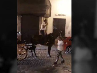 Un cochero de Sevilla provoca polémica entre los internáutas por el trato a su caballo.