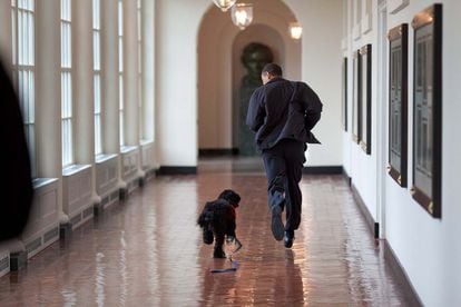 Marzo de 2009. Corriendo por la Casa Blanca con Bo, mascota de la familia.
