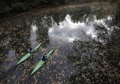 Dos pirag&uuml;istas palean sobre las aguas tranquilas del r&iacute;o Arga donde, a causa de la falta de corriente, se han acumulado las hojas. 