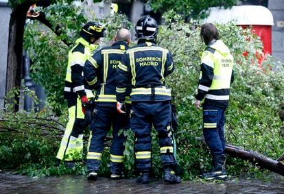 Bomberos de Madrid retiran las ramas de un árbol afectado por la climatología.