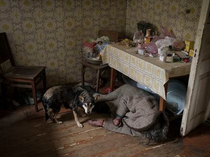 Un perro junto al cadáver de una anciana asesinada en el interior de una vivienda en Bucha, en las afueras de Kiev, Ucrania, el 5 de abril de 2022.