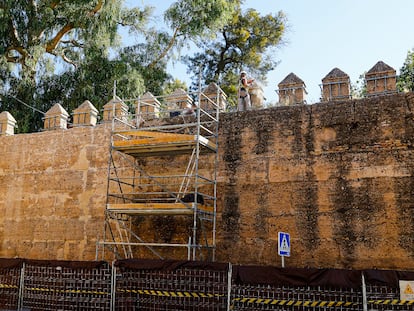 Trabajos de limpieza y consolidación de la muralla que une el Arco de la Macarena con la puerta de Córdoba, este miércoles en Sevilla. / ALEJANDRO RUESGA