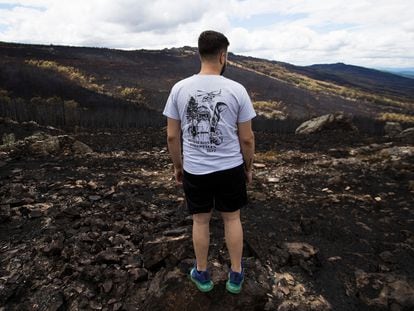 Una persona observa los daños provocados por el incendio forestal en la Sierra de la Culebra, en Villardeciervos.