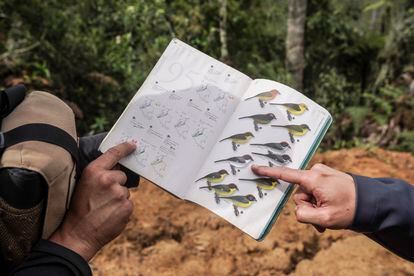 Participantes de la buscatón utilizan una guía de campo para identificar aves de Colombia.