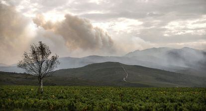 Vista general de l'incendi de Montederramo que ja afecta més de 600 hectàrees.