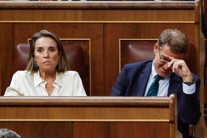 El líder del Partido Popular y candidato presidencial, Alberto Núñez Feijóo, junto a la portavoz de su partido, Cuca Gamarra, este viernes en el Congreso.