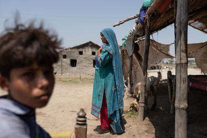 A pesar de su juventud, Noor, de 22 años, ha perdido dos bebés. El primero falleció debido a complicaciones en el embarazo y el segundo murió tres días después de nacer, durante las devastadoras inundaciones que azotaron Pakistán en agosto de 2022. Había dado a luz en su casa con la ayuda de una partera, pero el bebé dejó de respirar. “Apenas comía durante las lluvias y no podía amamantarlo. Le enterramos a unos metros de casa. Todavía estaba lloviendo”. Noor ahora está embarazada de cuatro meses y reza para que su tercer hijo sobreviva a las duras condiciones climáticas del país asiático. Las lluvias turbulentas y las inundaciones destruyeron su casa en Moosa Jessear, en la provincia de Sindh, y en mitad de la noche Noor tuvo que ser evacuada con la ayuda de unos vecinos de su comunidad en un barco improvisado. 
Ocho meses después del desastre, sigue viviendo bajo una lona. Ella representa a toda una generación de madres que luchan por su supervivencia y la de sus hijos en medio de una crisis climática sin precedentes en Pakistán.