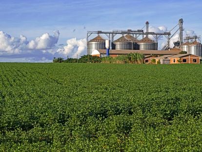 Finca con grandes silos para almacenar la soja cosechada, en Paraguay.