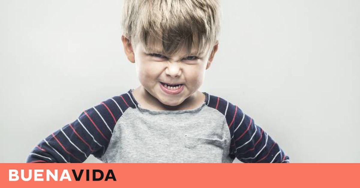 Mi Hijo De 2 Años Dice Que Es Niña