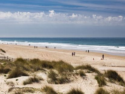 La playa de La Barrosa, en la costa de C&aacute;diz. 