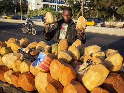 Vendedor de cocos en Dakar.