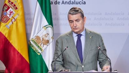 El consejero de Presidencia, Interior y Diálogo Social de la Junta de Andalucía, Antonio Sanz, durante la rueda de prensa de esta mañana tras el Consejo de Gobierno Andaluz en el Palacio de San Telmo.
