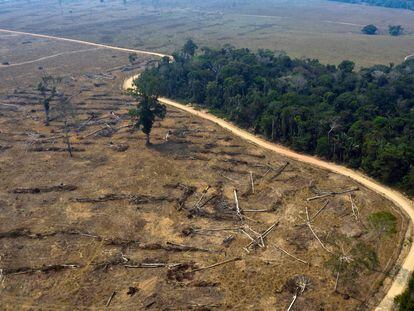 Imagen aérea de una zona de la Amazonía que se incendió en agosto de 2019.