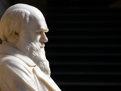 Estatua de Charles Darwin en el Museo Natural de Historia de Londres.