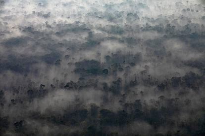 Vista aérea de una zona quemada de la selva amazónica, junto a un rancho de ganado, en el Estado de Mato Grosso (Brasil), el 31 de agosto de 2019.