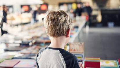 Los niños son curiosos por definición y, por eso, los álbumes informativos generalmente son más atractivos para ellos que los literarios.
