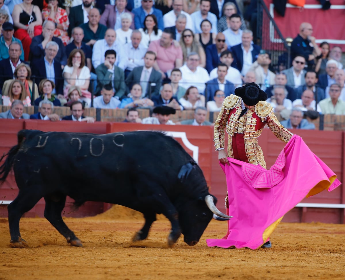 Siete verónicas y una media | Cultura