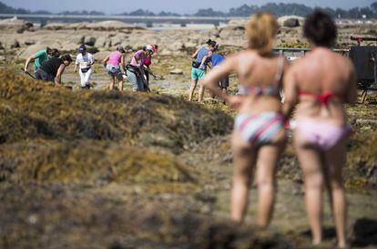 Bañistas observan el trabajo de la mariscadoras en la Rías Baixas.