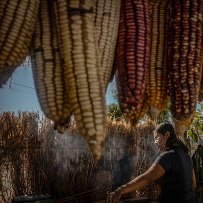 Indígenas wixarikas en la comunidad de El Roble, Nayarit.