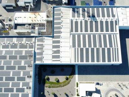 Imagen de los más de 5.700 paneles solares instalados por Quantica Renovables en el tejado del fabricante de zumos de naranja y mandarina Zuvamesa, en Valencia.