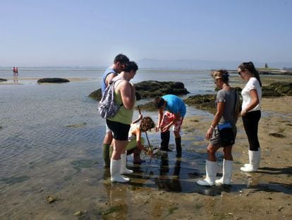 Un grupo de turistas durante una visita guiada organizada por Guimatur en una playa de Cambados. / CARLOS PUGA