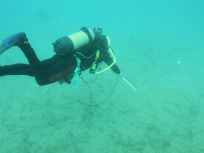 Un buceador rastrea con un equipo geomagnético el fondo marino de Sitges.