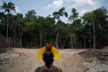 An indigenous Kayapó on a path opened by illegal loggers on the border between a reserve and indigenous land in Altamira (Pará) in 2019.