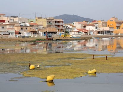 Estado actual de la playa de Los Nietos, en el mar Menor.