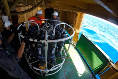 bacterias en el Golfo de México