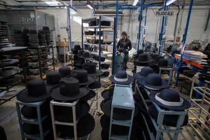 All the Hasidic Jews in the populous ultra-Orthodox community in the United States, gathered in their vast majority in the Williamsburg neighborhood (New York), wear hats made by Fernández and Roche. 