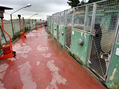 Aspecto de las jaulas de la perrera de Barcelona con estufas de butano para aliviar a los animales del frío.