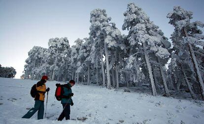Excursionistas recorren con nieve en otoño el camino Schmidt, que une Cercedilla con Navacerrada, en la Sierra del Guadarrama.