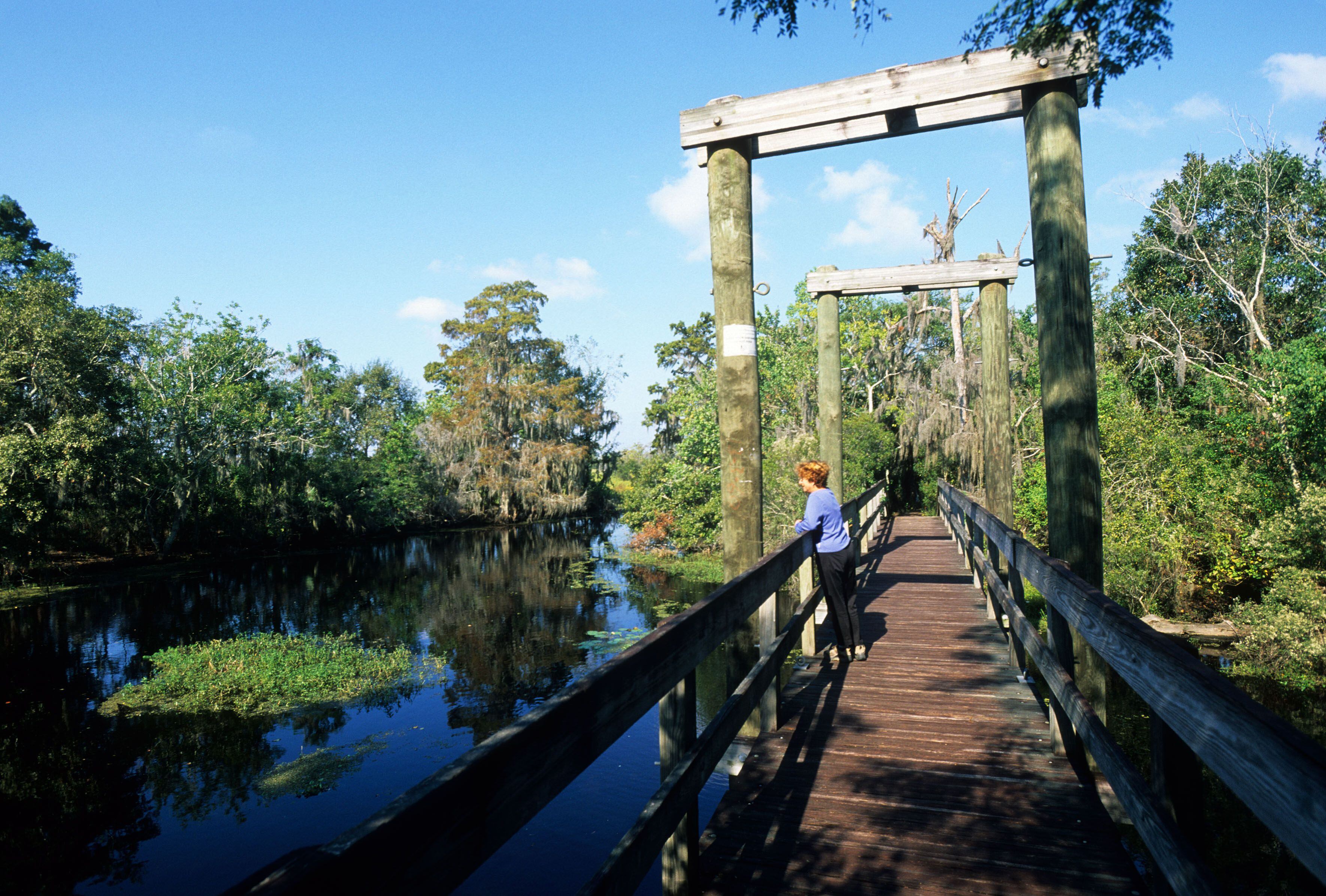 Una de las pasarelas de la Barataria Preserve en el Jean Lafitte National Historic Park, uno de los asentamientos de isleños canarios en Luisiana.