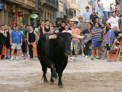 Un festejo de 'bous al carrer' en Burriana.