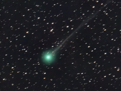 Cometa Nishimura.