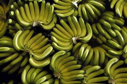 Bananas en una factoría de Chiquita en Guayaquil, Ecuador.