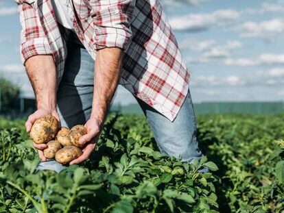 Trabajo está dando de alta de oficio en autónomos a agricultores puntuales