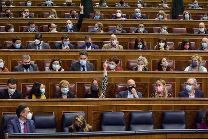 Bancada del Gobierno y del PSOE durante las votaciones del pasado jueves en el pleno del Congreso.