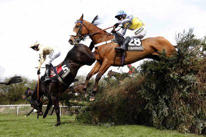 El caballo Fago, montado por Barry Fehilly, cae en la zanja abierta en la reunión del Grand National de carreras de caballos en Aintree, el norte de Inglaterra.