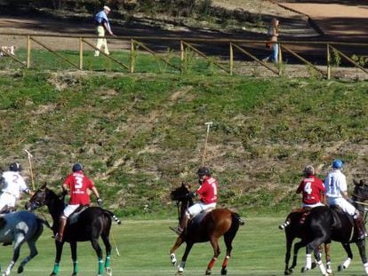 Campo de polo de La Granja de San Ildefonso.