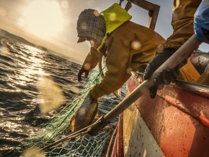 Una jornada con pescadores artesanales.