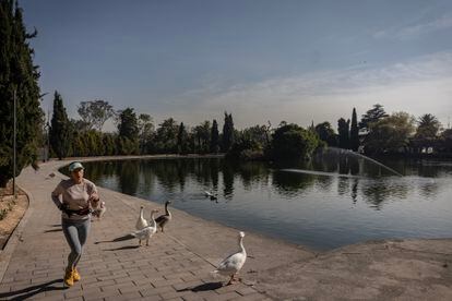 El lago de la segunda sección del bosque de Chapultepec.
