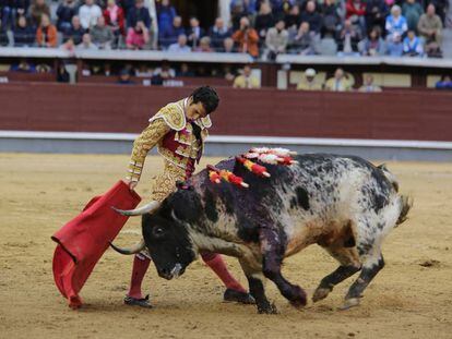 Morenito pasa de muleta al toro que le cortó la oreja.