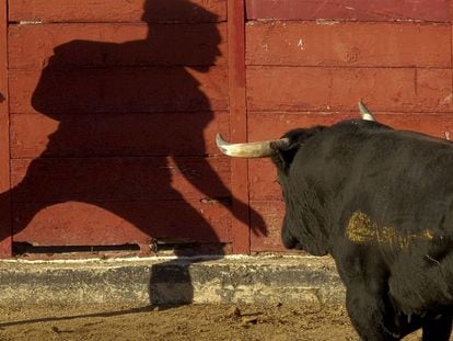 La sombra de un participante de los encierros de San Sebastián de Los Reyes (Madrid) se proyecta contra los tablones de la plaza de toros, el 27 de agosto de 2014.
