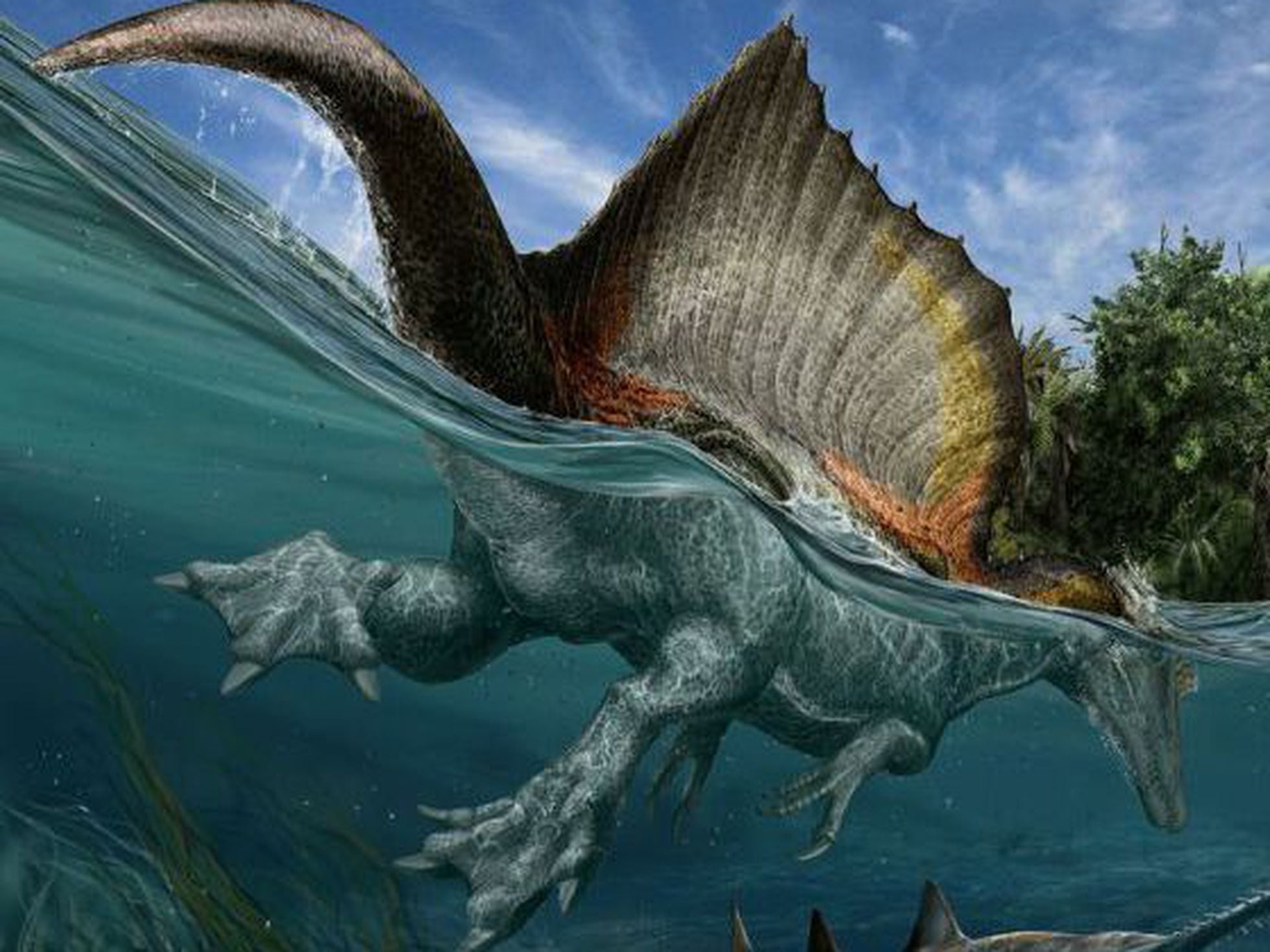 El primer dinosaurio nadador | Sociedad | EL PAÍS