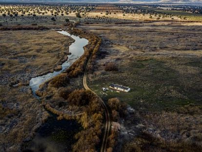 Imagen aérea donde se puede ver a la izquierda el cauce del río Guadiana, y a la derecha lo que se connnoce como Isla del Morenillo, que debería de estar rodeada de agua y que se encuentra totalmente seca.