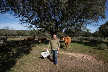 Julián Sánchez es ganadero y tiene 50 vacas. Su parcela es una de las que Berkeley intentó comprar. Aunque él se ha negado sabe que si finalmente se autorizara el proyecto, le podrían expropiar sus tierras. "Estoy totalmente en contra". 
