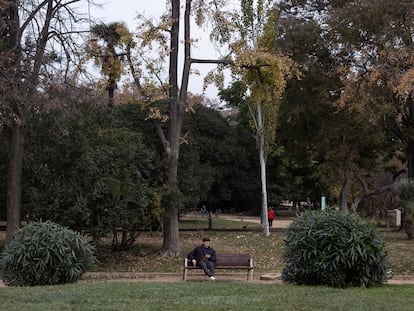 DVD 1137 07/12/22 Un joven descansa en un banco envueto de arboles.Parque de la Ciutadella. Barcelona, 7 de diciembre de 2022 [ALBERT GARCIA]